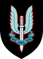 22 SAS cap badge